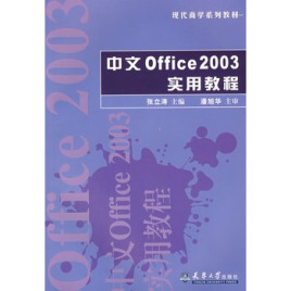 Office2003教程