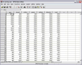 SPSS Statistics