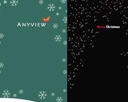 AnyView