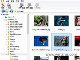 Magic Partition Recovery软件截图
