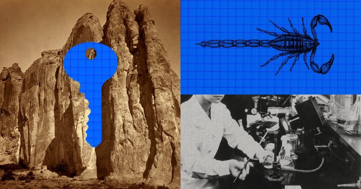 Anthropic 公布 Claude 蝎毒蛋白设计研究：211 个设计中 17 个达到结合标准