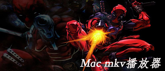 Mac mkv播放器