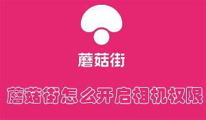 蘑菇街怎么开启相机权限