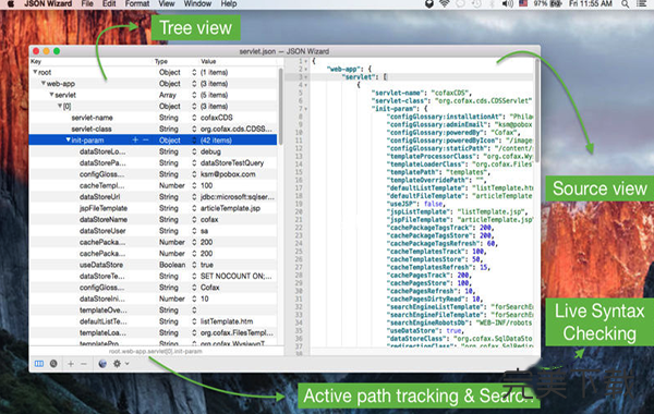 JSON Wizard Mac版