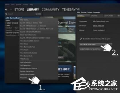 Win10玩生存进化报错怎么办？Win10玩生存进化报错的解决方案(4)