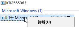 win10系统迅雷下载时总闪退怎么办(2)