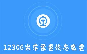 12306火车票查询怎么查