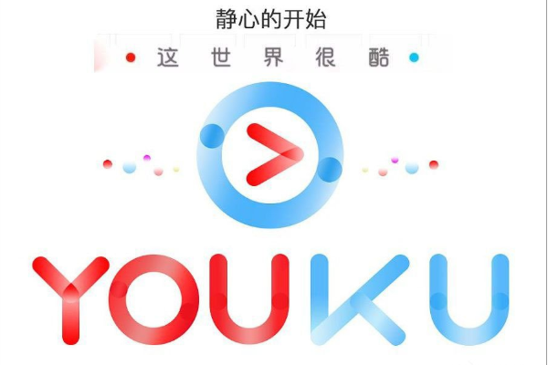 优酷视频打不开2607错误怎么办？win10优酷视频打不开2607错误的解决教程
