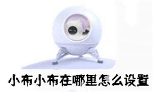 小布小布在哪里怎么设置