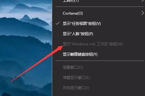 win10怎么关闭Windows INK工作区(8)