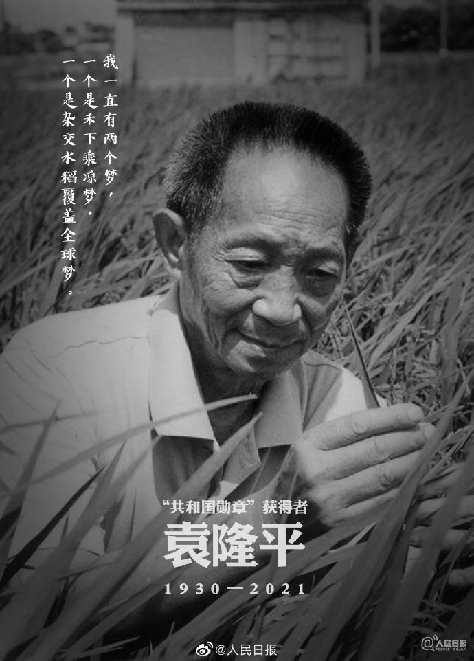 “杂交水稻之父”袁隆平逝世