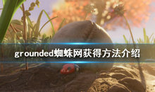 禁闭求生蜘蛛网怎么获取?禁闭求生蜘蛛网获取攻略