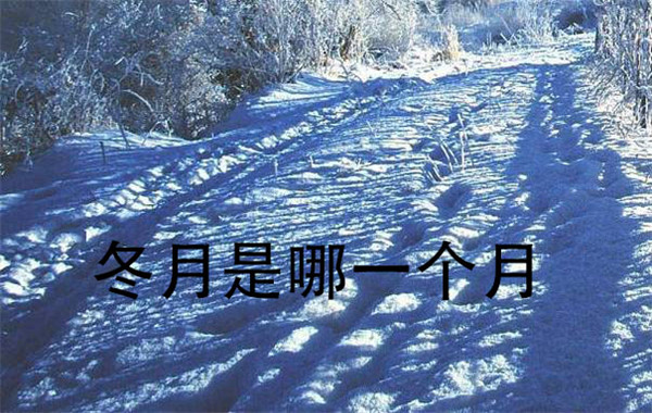 冬月是哪个月？农历十一月详解