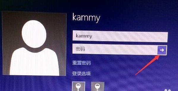 Win10开机密码忘记了如何解决(9)