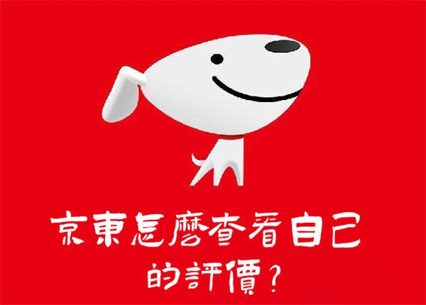 京东怎么看自己的评价？三步查看