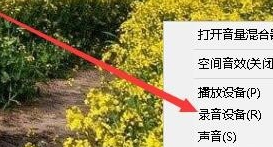 (1)